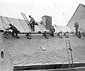 firma 1924
